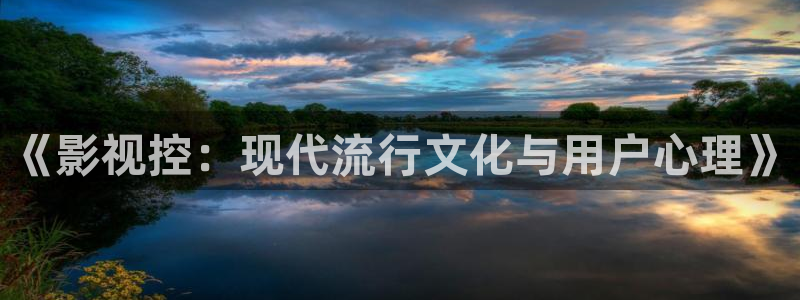 四库影影院：《影视控：现代流行文化与用户心理》