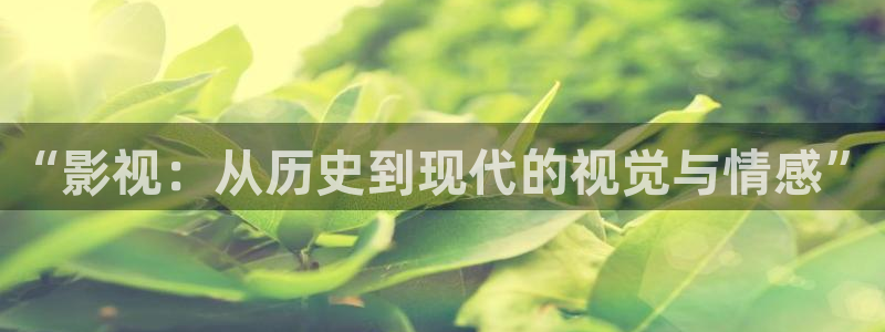 四库影院精品视频：“影视：从历史到现代的视觉与情感”