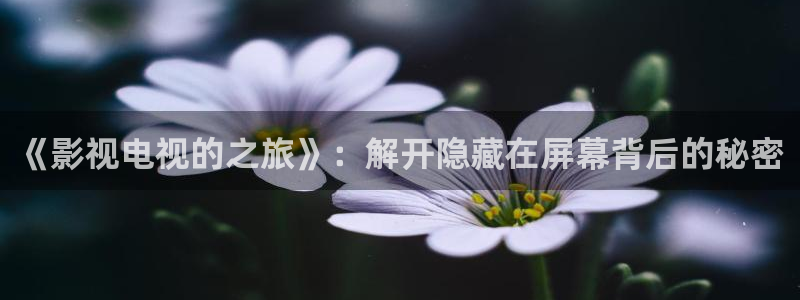 四库影院永久免费观看：《影视电视的之旅》：解开隐藏在屏幕背后的秘密
