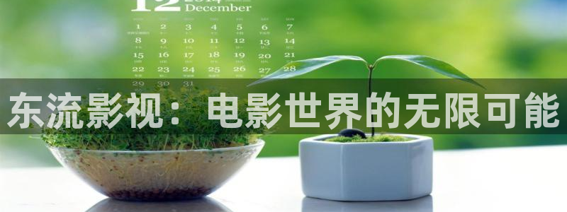 四库影视免费：东流影视：电影世界的无限可能