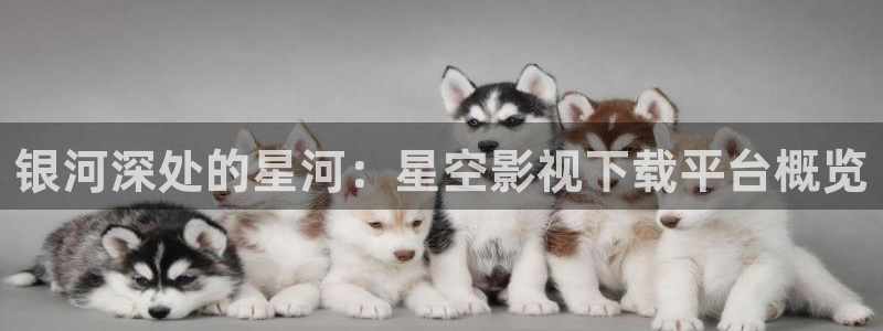 四库影院海外：银河深处的星河：星空影视下载平台概览