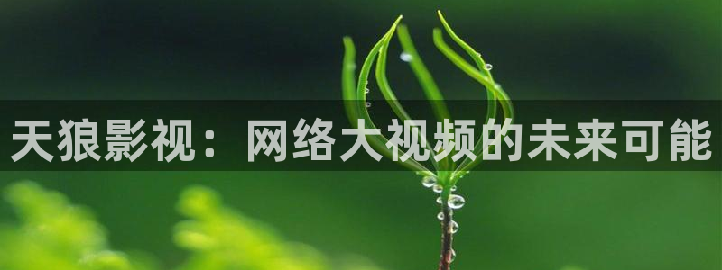 四库在线影院：天狼影视：网络大视频的未来可能