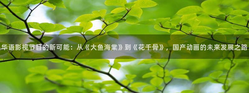 四库影院在线：华语影视节目的新可能：从《大鱼海棠》到《花千骨》，国产动画的未来发展之路