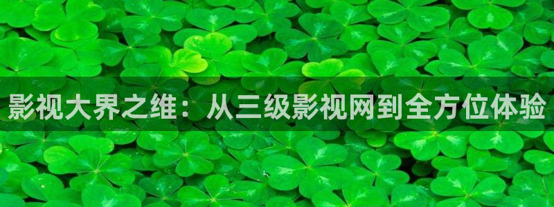 四库影院网址：影视大界之维：从三级影视网到全方位体验