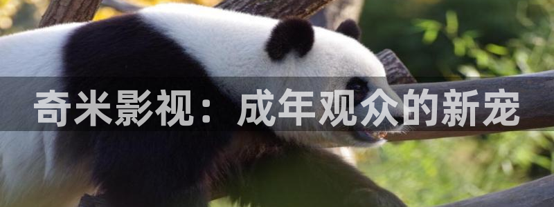四库影院：奇米影视：成年观众的新宠