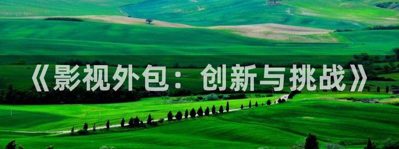 四库成人影院：《影视外包：创新与挑战》