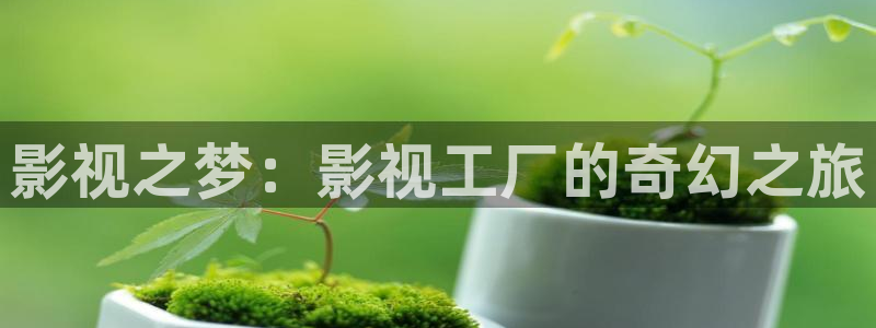 四库影院精品：影视之梦：影视工厂的奇幻之旅