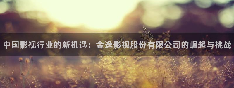 四库影院的地址：中国影视行业的新机遇：金逸影视股份有限公司的崛起与挑战