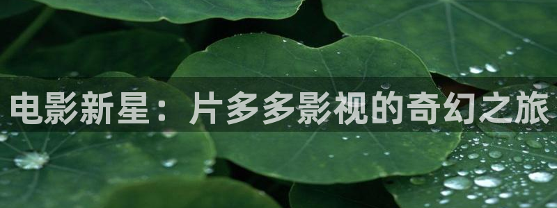 www.四库影院：电影新星：片多多影视的奇幻之旅
